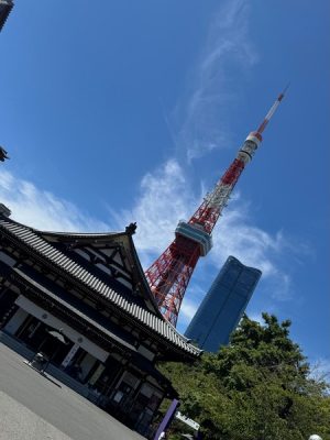 alife2travel (5)